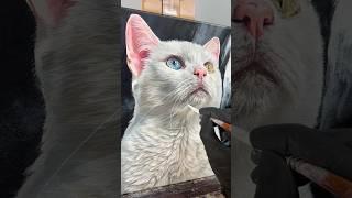 Fidget  memorial pet portrait! #petportrait #petportraitartist #catart #acrylicpainting #art