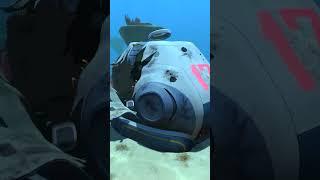 The Horrifying Story of the Lifepods in Subnautica