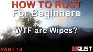 Rust for Beginners - Quick guide to Wipes