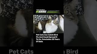 Top #Science Headlines - 19 June 2024 #news #science