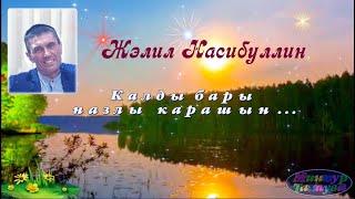 Калды бары назлы карашын. Остался только твой нежный взгляд. Жэлил Насибуллин. Автор: Миннур Тахаува