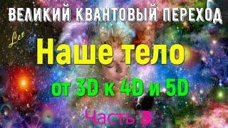 Наше тело, часть 2 — от 3D к 4D и 5D