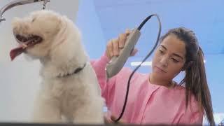 The Future of Pet Care AI & Robotics Revolution!