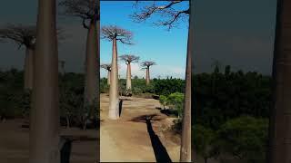 Five PLACES ON EARTH THAT FEEL LIKE OUTER SPACE #touropia #travel #beautifulplaces