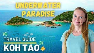 Koh Tao, Thailand (ultimate travel guide) 