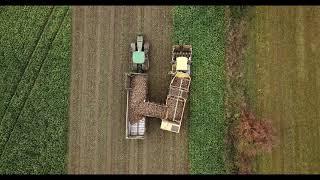 sugar beet harvest in Denmark