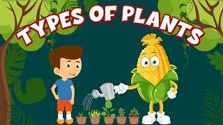 Types of Plants - Herbs, Shrubs,Trees, Climbers and Creepers - Learning Junction #plants #kidsvideo