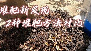 用花瓣堆肥的新发现，无意间做了2种堆肥方法的对比，很有用