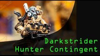 Darkstrider & Tau Hunter Contingent Formation