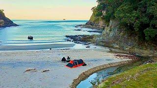 WINTER CAMP Catch and Cook on Remote New Zealand Beach