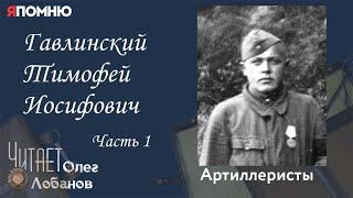 Гавлинский Тимофей Иосифович. Часть 1. Проект "Я помню" Артема Драбкина. Артиллеристы