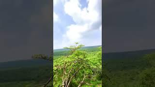 Nature kota Rajasthan #youngbeastaz #subscribe #formorevideos