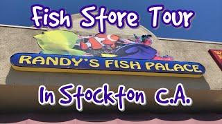 Randy’s fish palace! In Stockton C.A. Fish Store Tour!