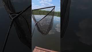 Собрать подсак, не, не знаю... #рыбалка #рыбалканафидер #carpfishing #fishing #carp #campping