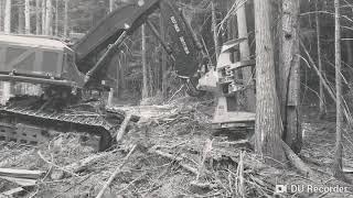 Feller buncher