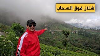 Touring the peaks of Munnar and witnessing the natural beauty of Kerala, India