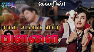 நான் உங்கள் வீட்டு Naan Ungal Veetu Song-4K HD Video  #mgrsongs #tamiloldsongs