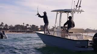 Discover Your Next Boston Whaler at Boat Specialists