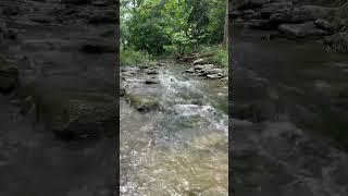 THE BEST SOUND! #country #creek #relaxing #peaceful