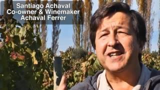 JAMESSUCKLING.COM - Top 100 Wines of The Andes in 2014