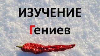 ГЕНИИ: ИЗУЧЕНИЕ / ИССЛЕДОВАНИЕ Творчества