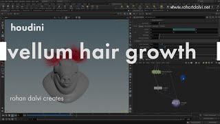 Houdini hair growth