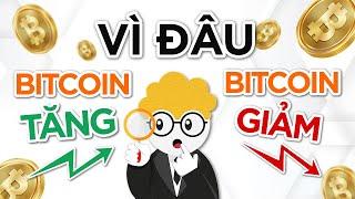 Yếu tố quyết định giá Bitcoin tăng giảm