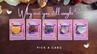 ..:: Why are you still single? ::.. pick a card ..:: tarot love reading ::..