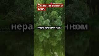 Как распознать сигналы тела? #сигналытела #какраспознатьсигналытела #психосоматика