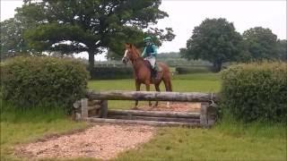 Hesteyri Horses ~ Stops and runouts ~ training video