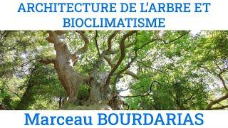 L'architecture de l'arbre et le bioclimatisme, par Marceau Bourdarias