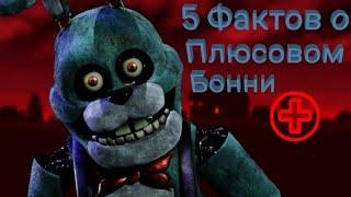 5 Фактов о Plus Bonnie