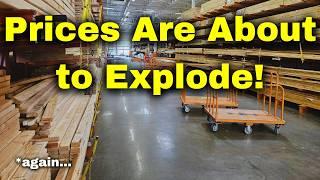 Lumber Prices are about to Explode! Here's why...