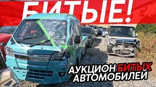 ВСЯ ПРАВДА О БИТЬЕ ИЗ ЯПОНИИАУКЦИОН БИТЫХ АВТОКАК РАЗБИРАЮТ АВТОМОБИЛИ⁉️ГДЕ ЯПОНЦЫ БЕРУТ ЗАПЧАСТИ