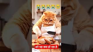 funny short#hen#chicken#cat#standing short #viral shot #YouTube short@neetudeviauderi