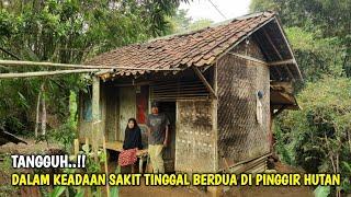 Tangguh !! Dalam Keadaan Sakit Pasutri Ini Tinggal Berdua Di Rumah Sederhana Pinggir Hutan