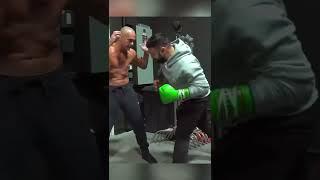 PAULIE MALIGNAGGI LACES UP THE GLOVES AGAIN