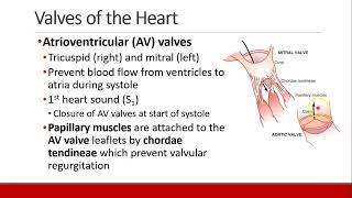 Applied Physiology for Anesthesia - 02 - CARDIAC - Part 1