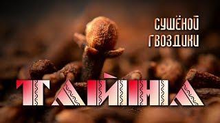 КАЖДЫЙ ДЕНЬ ЖУЮ ГВОЗДИКУ - результаты впечатляют!