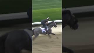 Arcangelo hits the main track at Belmont on 6/6/23