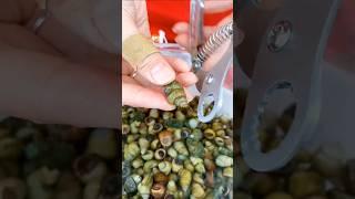 Tool Trove - Love snails? Try this Snail Cutter—quick and clean!#shorts #youtubeshorts #short