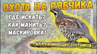 Охота на рябчика   гайд для начинающих