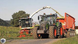  Maishäckseln 2024 mit CLAAS Jaguar 940 und FENDT Schleppern | LU Scheja [4K]