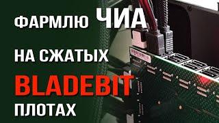 Фармлю чиа на сжатых Bladebit плотах