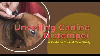 Unveiling Canine Distemper: A Real-Life Clinical Case Study