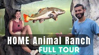 HUGE Aviary, Ponds and 6000 Gallon Aquarium - FULL TOUR @BlakesExoticAnimalRanch