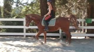 Volunteer Jordan Riley Takes Out Resident Rescue Horse for a Spin