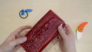 Женский Кошелек.  Обзор посылки с aliexpress.