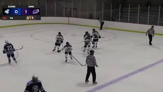 Women's Ice Hockey: Amherst vs. Connecticut College Highlights (1/13/23)