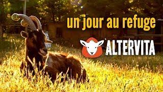 Un jour au refuge - Altervita